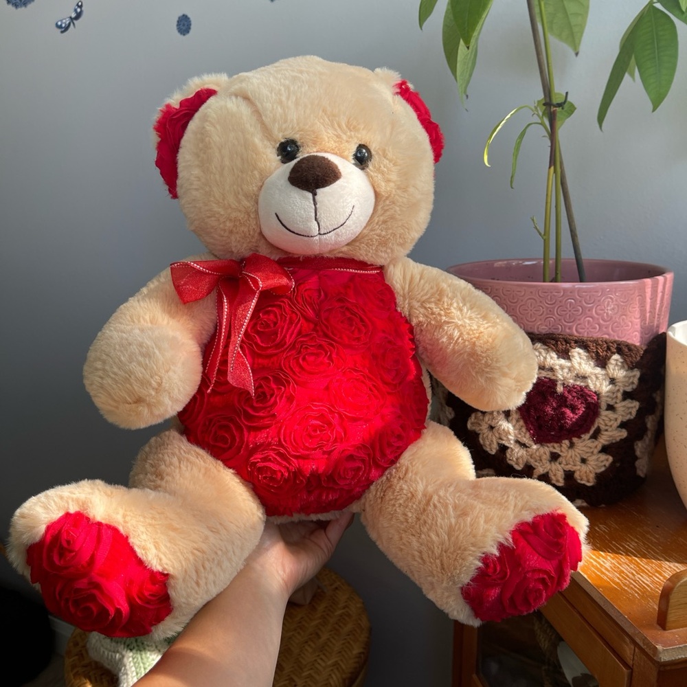 Valentine's day bear ❤️